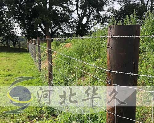 刺铁丝网