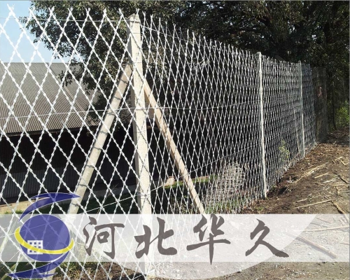 刀片刺网