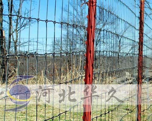 牛栏网