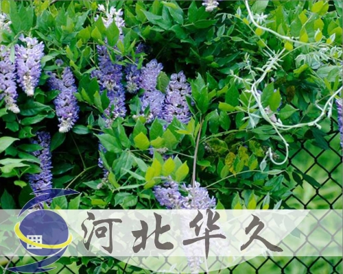 勾花网隔离栅
