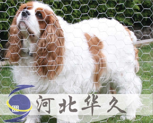 六角网
