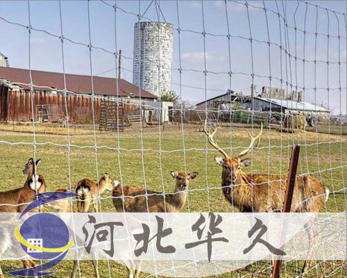 牛栏网
