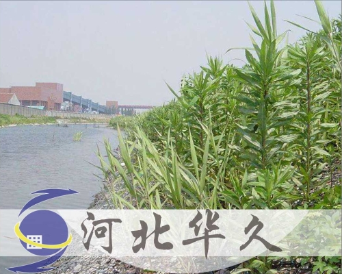河道防护网